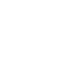 Tidal
